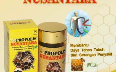 Propolis Nusantara